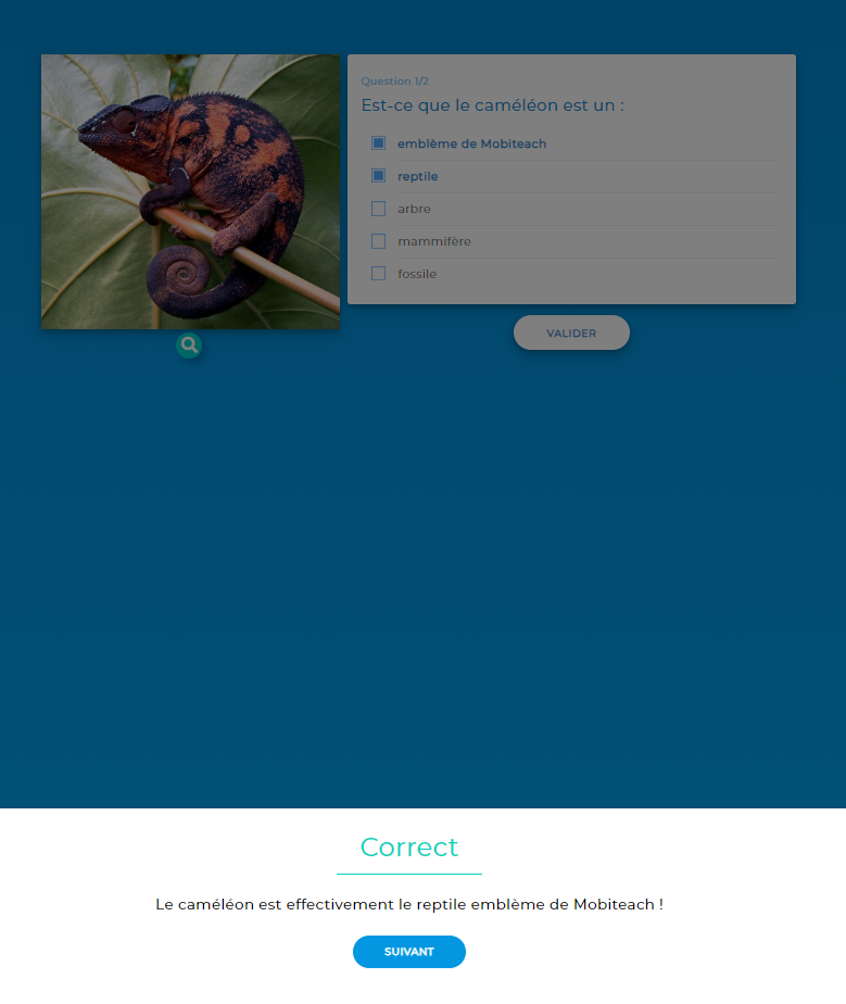 Feedback vu par le participant