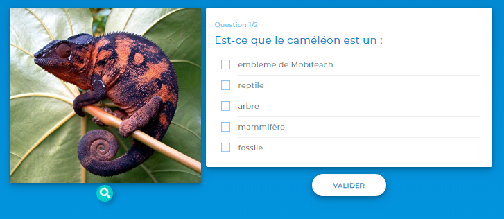 QCM vue par le participant