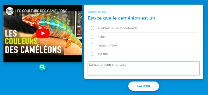 Vidéo vue par le participant