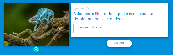 Remplir le champ - Vue participant