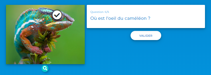 Zone Sensible - Vue participant - Sélection de réponse